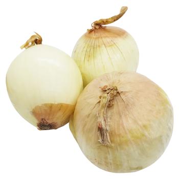 Onion Second Grade - buy, prices for Tavria V - photo 1