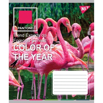 Тетрадь Yes Pantone A5 24 листа клеточка - купить, цены на - фото 1