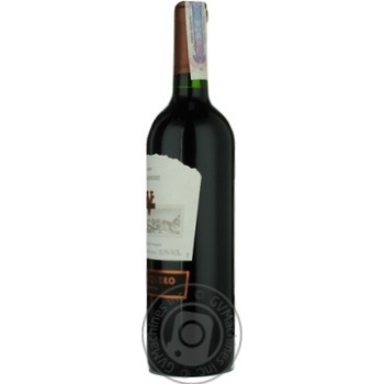 Вино Ventisquero  Carménère Reserva червоне сухе 0,75л купити, ціни на МегаМаркет - фото 2
