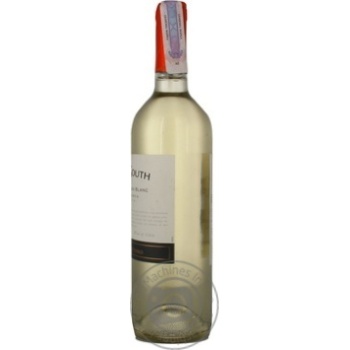 wine sauvignon blanc 35 parallel 14.5% 1200g glass bottle Chili - buy, prices for - photo 10