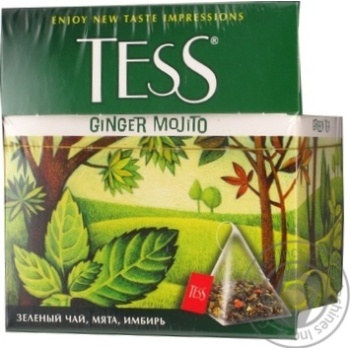 tea tess mojito green 20pcs 36g cardboard box - buy, prices for - photo 4