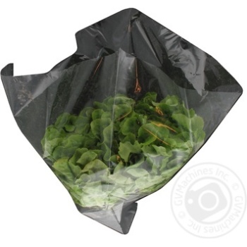 greens lettuce Without brand fresh - buy, prices for - photo 3