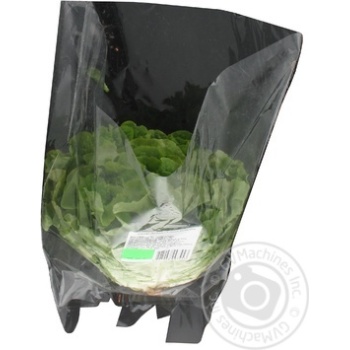 Greens lettuce Without brand fresh - buy, prices for Auchan - photo 3