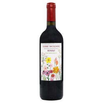 Provinco Italia Rosso Red Dry Wine 12.5% 0.75l - buy, prices for MegaMarket - photo 1