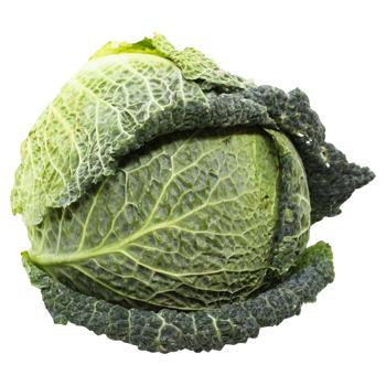 Ukraine Cabbage Savoy - buy, prices for ULTRAMARKET - photo 3