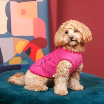 Tank top Pet fashion - buy, prices for MasterZoo - photo 4