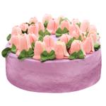 Торт Шоколадный Фрамбуаз