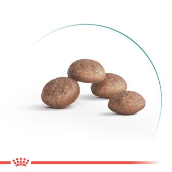 Корм сухий Royal Canin Ageing 11+ для літніх котів 2кг - купити, ціни на MasterZoo - фото 2