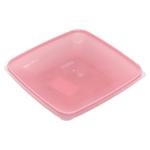 Plasttorg Square Plastic Plate 19x19cm