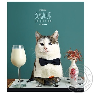 Star Exercise book 36 sheets squared - buy, prices for Chudo Market - photo 7