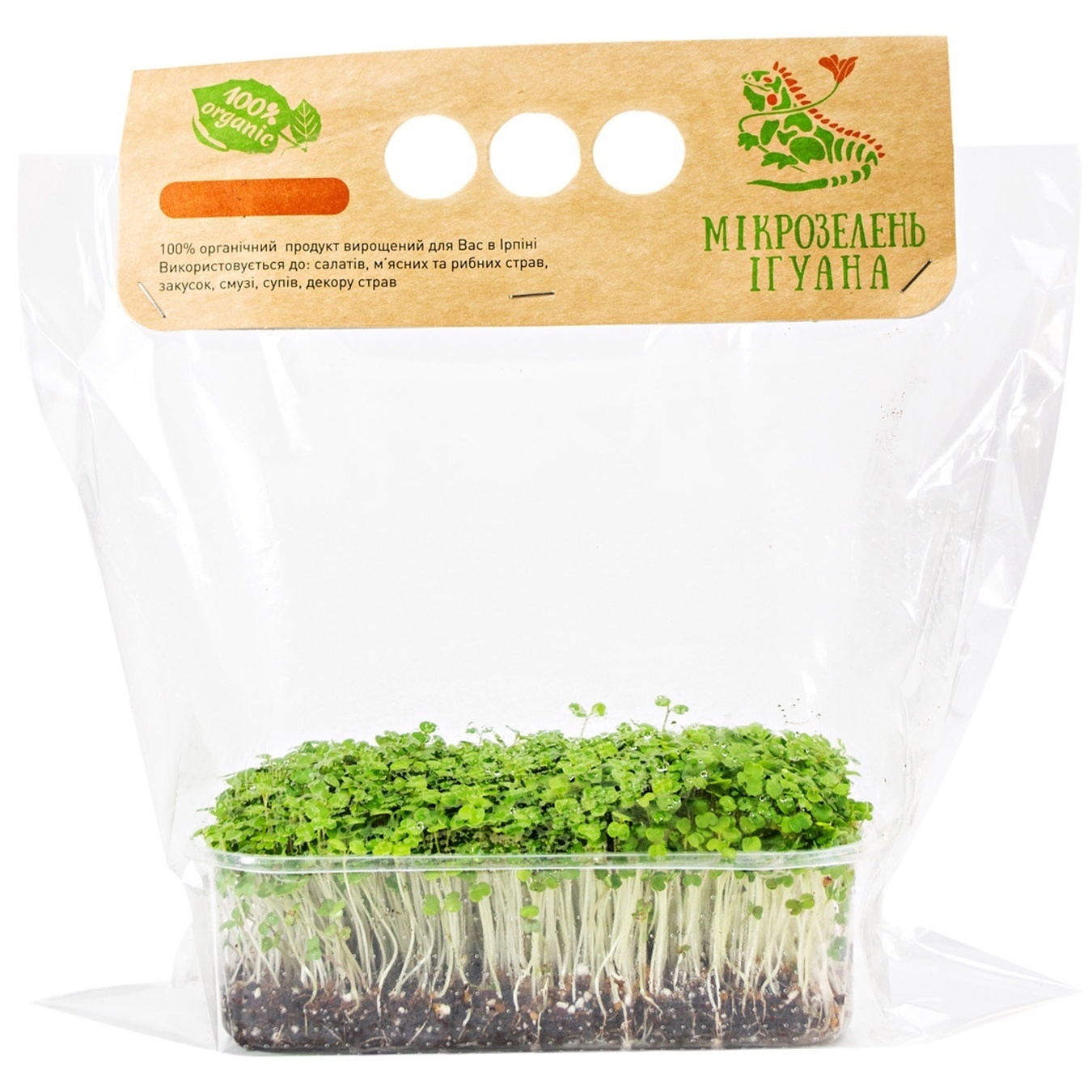 

Микрогрин Игуана Микрозелень брокколи