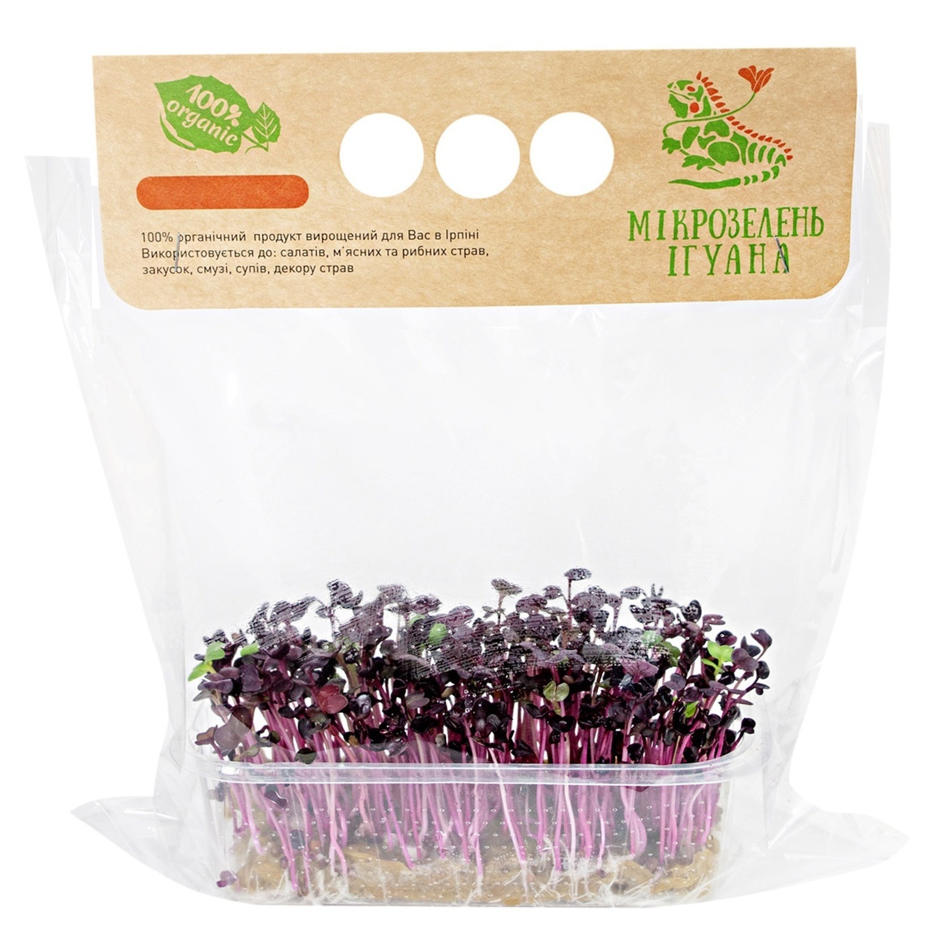 

Микрогрин Игуана Микрозелень редиса фиолетового