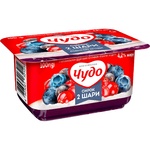 Chudo Whipped Cottage Cheese North Berries 4.2% 100g