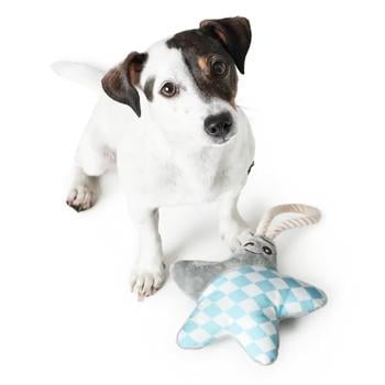 Hunter Salima Star Toy for Dogs with Squeaker 17cm - buy, prices for MasterZoo - photo 3