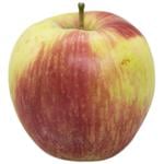 Apple Honey Crisp