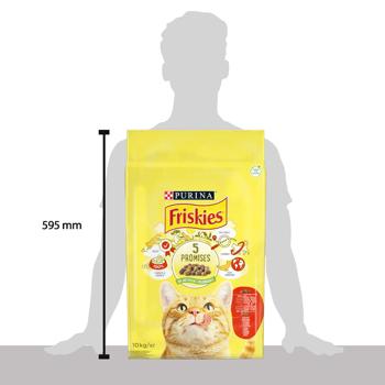 Корм сухий Friskies з яловичиною, куркою і овочами для дорослих котів 10кг - купити, ціни на MasterZoo - фото 3