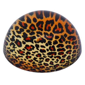 Koopman Paperweight with Animal Print - buy, prices for NOVUS - photo 3