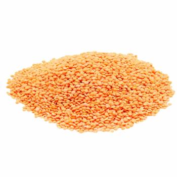 Red Lentils