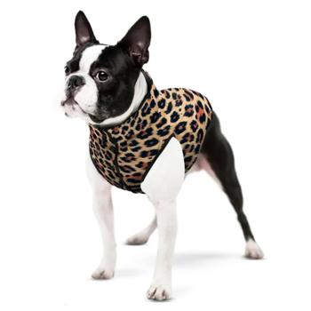 Курточка для собак Waudog Clothes р.M40 з малюнком леопард - купити, ціни на MasterZoo - фото 2