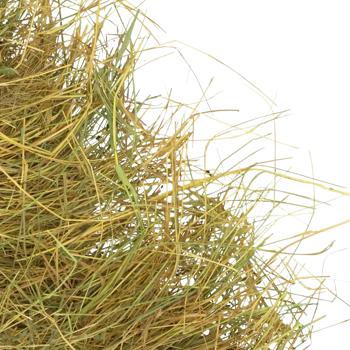 Мій Пухнастик відбірне сіно для гризунів 450 г - купить, цены на MasterZoo - фото 2