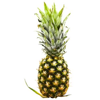 Pineapple Caliber 10