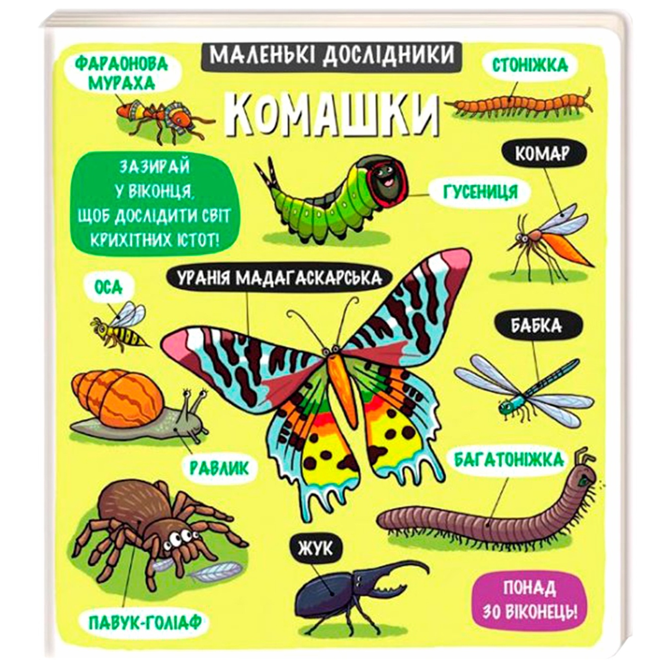 

Книга Маленькие исследователи. Букашки