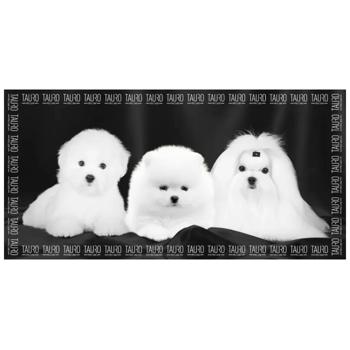 Towel - buy, prices for MasterZoo - photo 1
