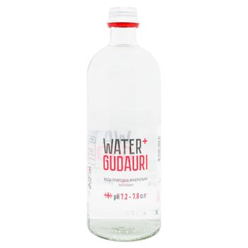 Water+ Gudauri Non-Carbonated Mineral Water 0.5l