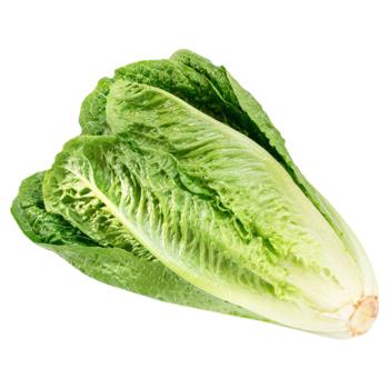 Romaine Lettuce, pc - buy, prices for Torba - photo 1