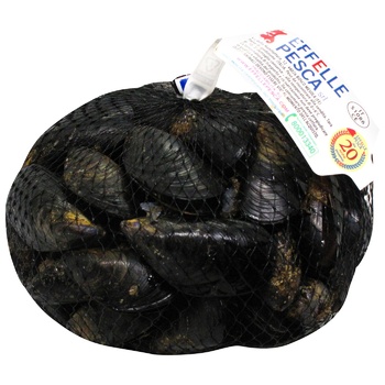 Mussels - buy, prices for - photo 1