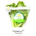 Galicia Greenery Frillice Fresh Lettuce