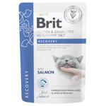 Корм вологий Brit Veterinary Diet Recovery з лососем для котів після операції 85г