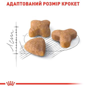 Royal Canin Sensible 33 Dry Food with Poultry for Cats with Sensitive Digestion 2kg + 400g - buy, prices for MasterZoo - photo 3