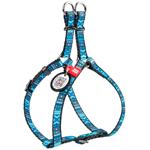 Leash Collar