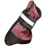 Boots Noble pet