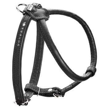 Hunter R&S Canadian UP Leather Dog Harness 50-56cm/18mm Black - buy, prices for MasterZoo - photo 1