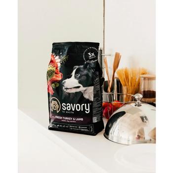 Savory Набір Medium Breed сухий корм для собак 1 кг - індичка та ягня + Dack Filets ласощі 100 г - качка та індичка - купити, ціни на MasterZoo - фото 4