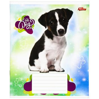 Mriyi zbuvayutʹsya Notebook in oblique line 12 sheets in stock - buy, prices for - photo 7