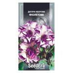 Seedera Flowers Datura Terry Purple Seeds 5pcs