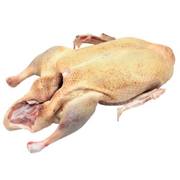 Качка тушка домашня охолоджена - купити, ціни на Чудо Маркет - фото 1