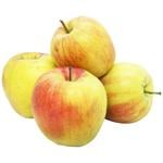 Apple Jonagold