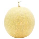 Yellow Melon