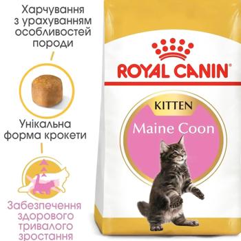 Набір корму Royal Canin для кошенят породи мейн-кун cухий 2кг + вологий 4шт х 85г - купити, ціни на MasterZoo - фото 2