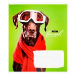 Тетрадь Школярик Star в клеточку 18 листов