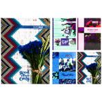 Buromax А4 Checkered Accounting Book 96 Sheets