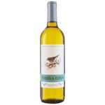 Wine Tierra eden 750ml glass bottle Spain