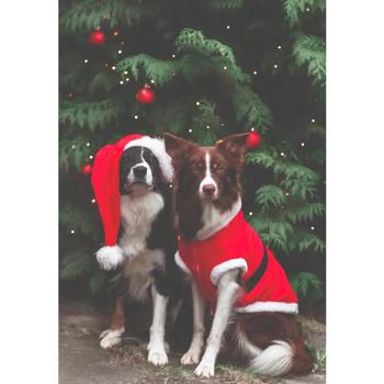 Trixie Santa Christmas Dog Blanket s.XS - buy, prices for - photo 4