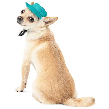 Pet Fashion Rob панама для собак S - купити, ціни на MasterZoo - фото 2