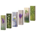 Спички НВ для камина и гриля 50шт