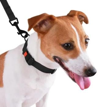 Collar Barksi Ukraine - buy, prices for MasterZoo - photo 2